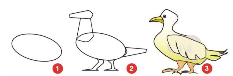 Cara Menggambar Bebek